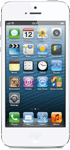 iPhone 5 для выбора стоимости ремонта